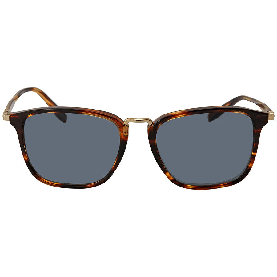 Salvatore Ferragamo Striped Sunglasses